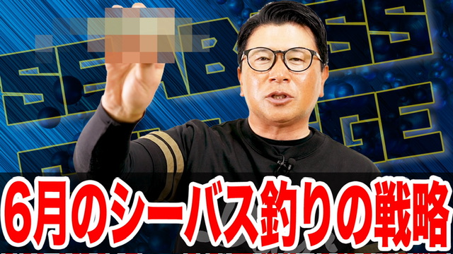 6月シーバス釣りの戦略‼️濁りの質に注意⚠️