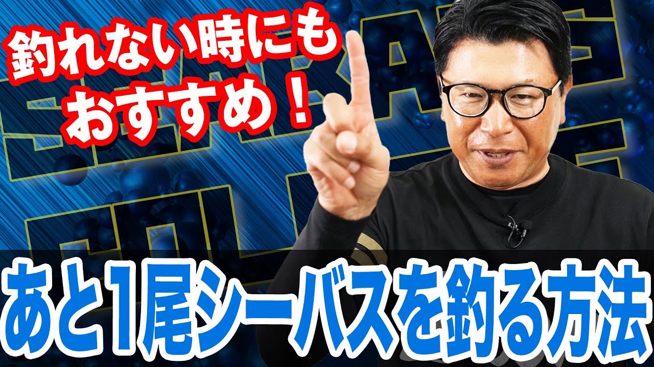 あと1尾シーバスを釣る方法‼️