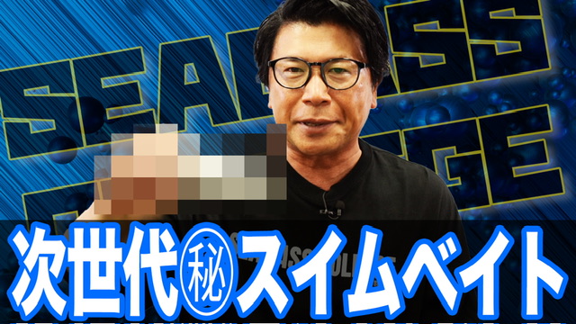 次世代㊙️スイムベイト‼️