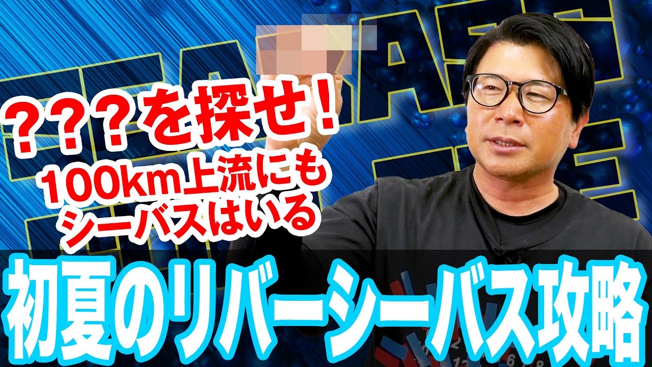 初夏のリバーシーバス攻略法‼️