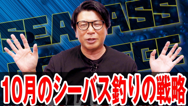 10月のシーバス釣りの戦略❗️