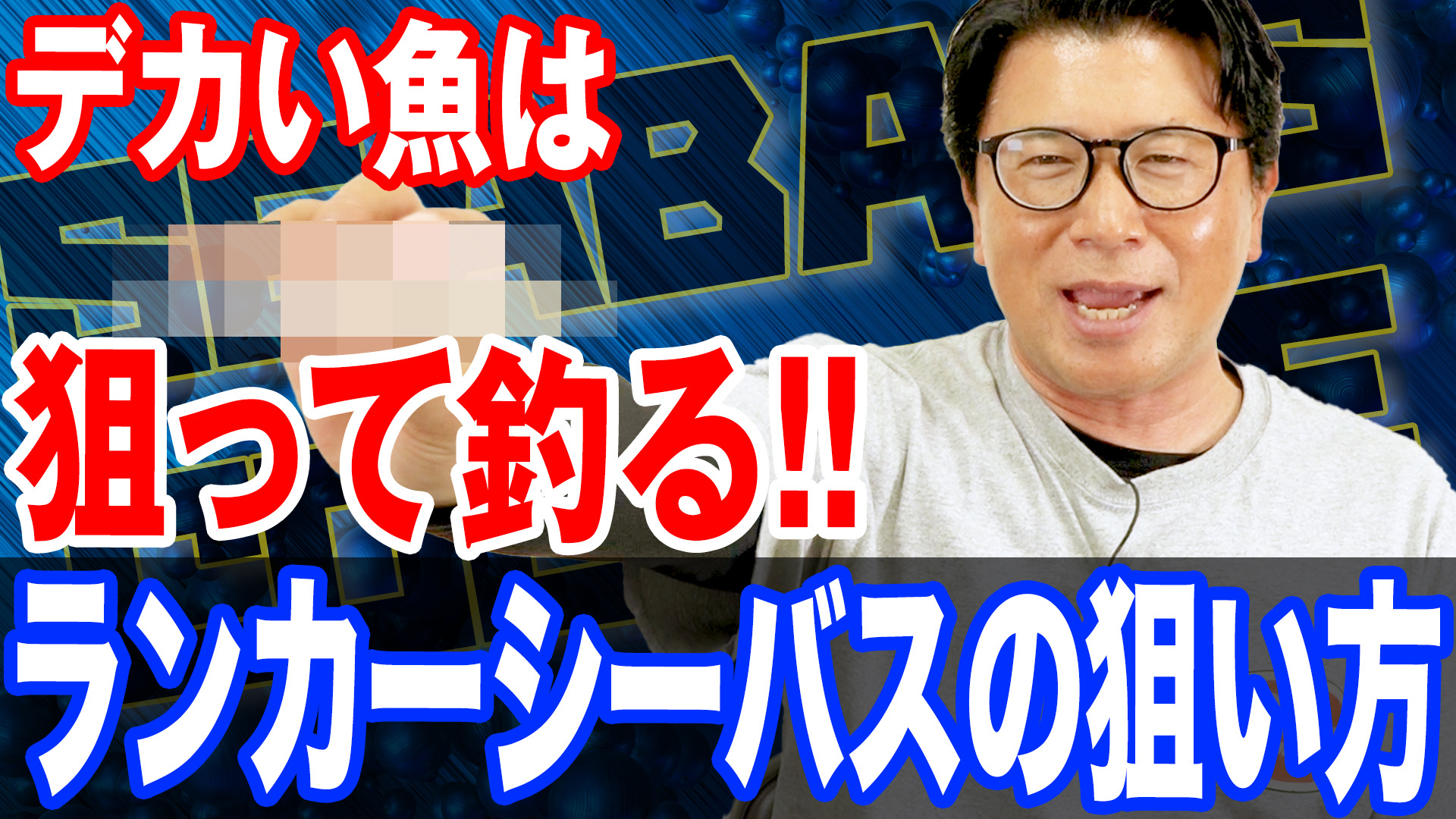 ランカーシーバスの狙い方❗️