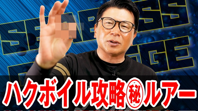 ハクボイル攻略㊙️ルアー❗️