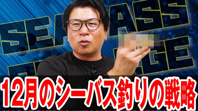 12月シーバス釣りの戦略‼️