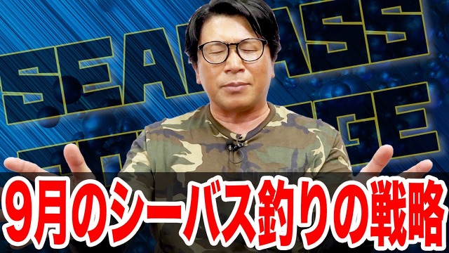 9月シーバス釣りの戦略‼️