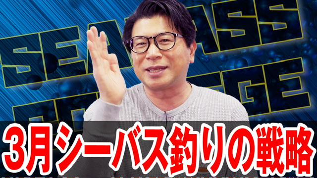 3月シーバス釣りの戦略