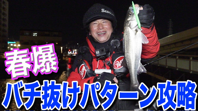春爆の実釣攻略動画を公開‼️