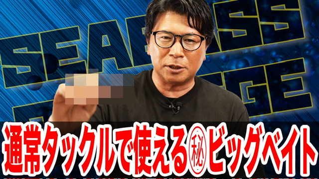 通常タックルで使える㊙️ビッグベイト