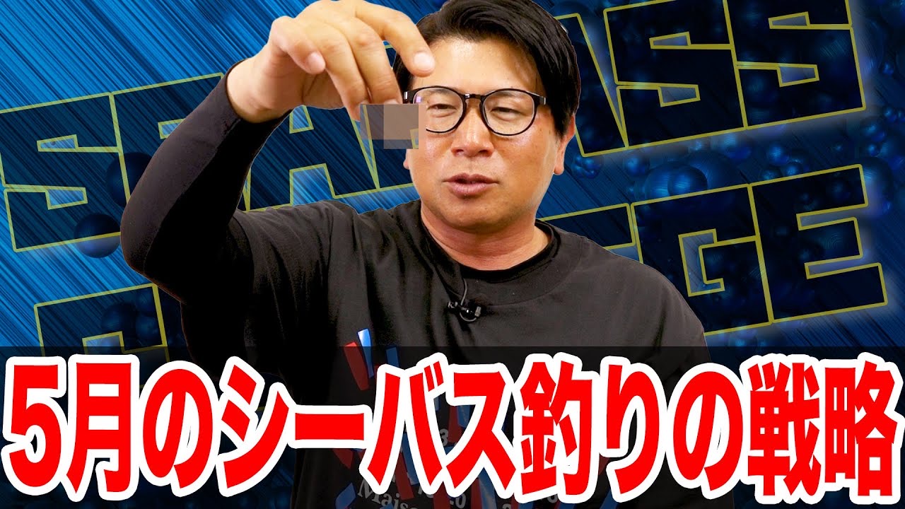 5月シーバス釣りの戦略❗️