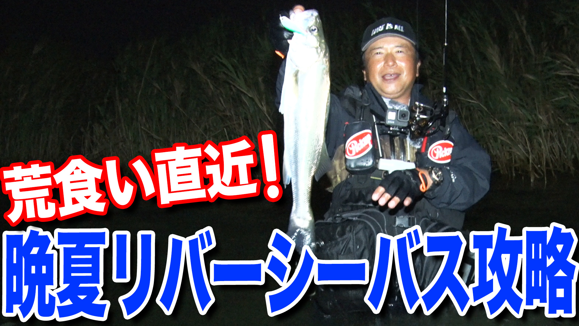晩夏のリバーシーバス実釣攻略❗️