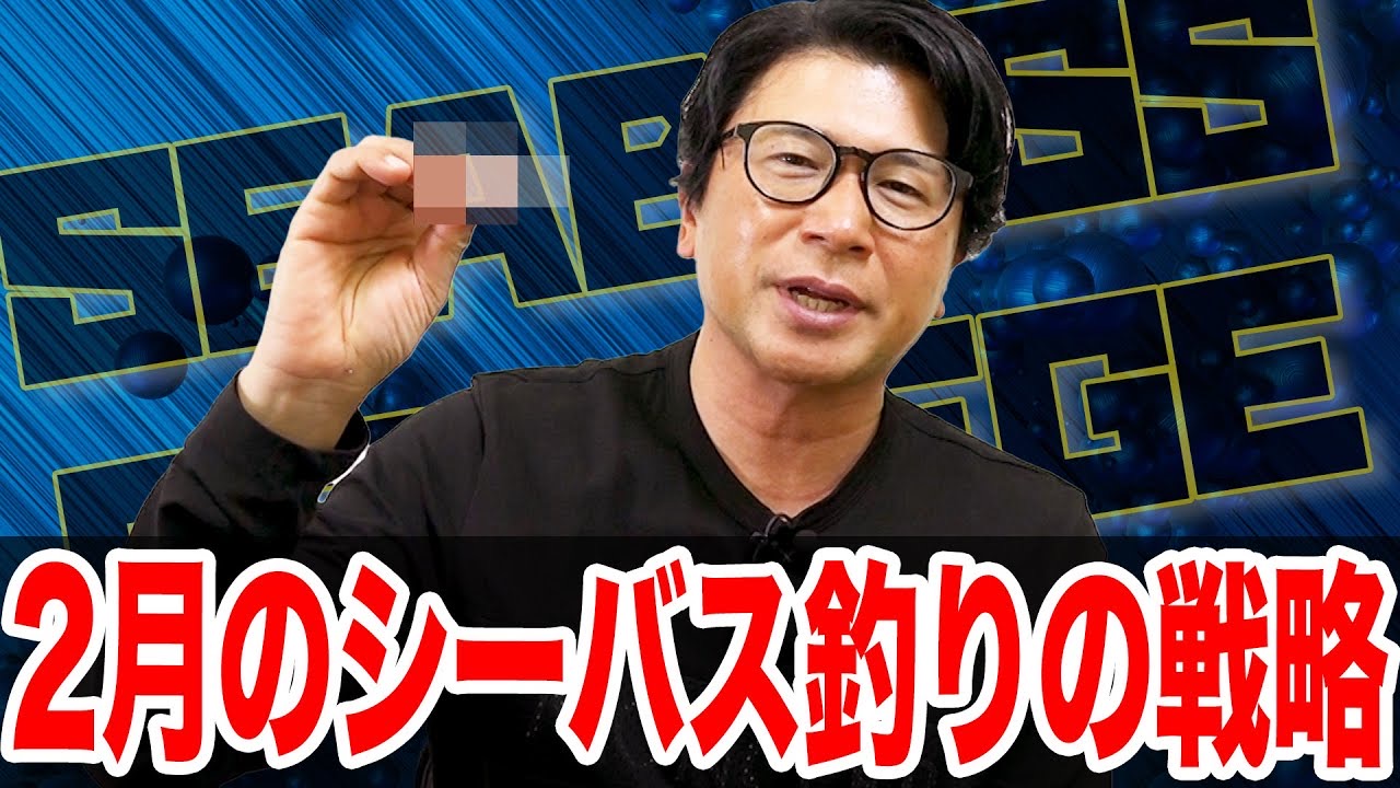2月シーバス釣りの戦略‼️