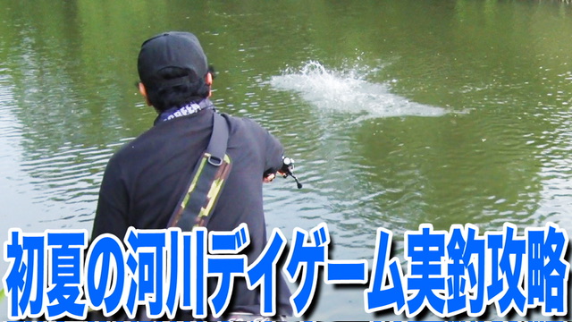 初夏の河川デイゲーム実釣攻略❗️