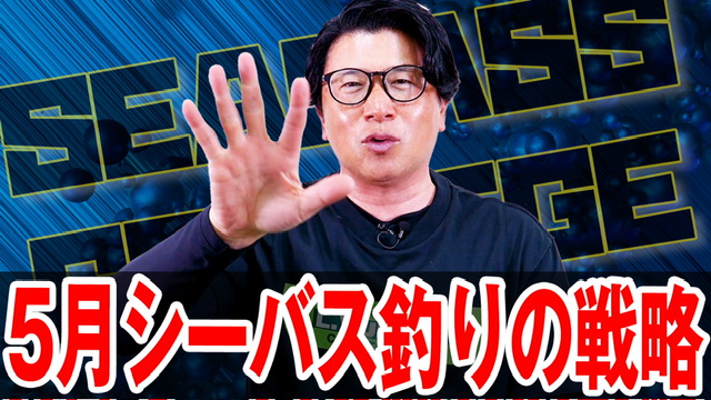 5月シーバス釣りの戦略❗️