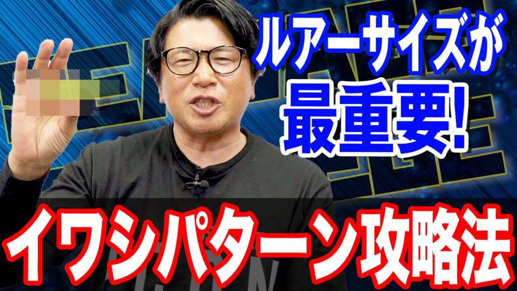 イワシパターン攻略法❗️1匹で終わらない為に‼️