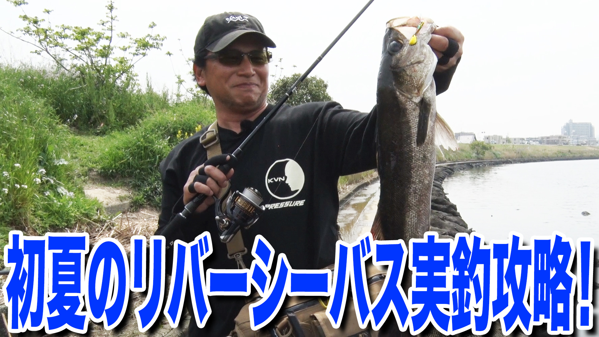 初夏のリバーシーバス実釣攻略‼️