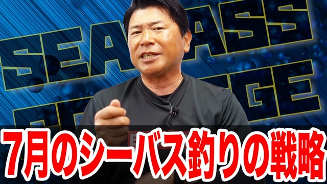 7月シーバス釣りの戦略‼️ベイトのサイズに注意☝️