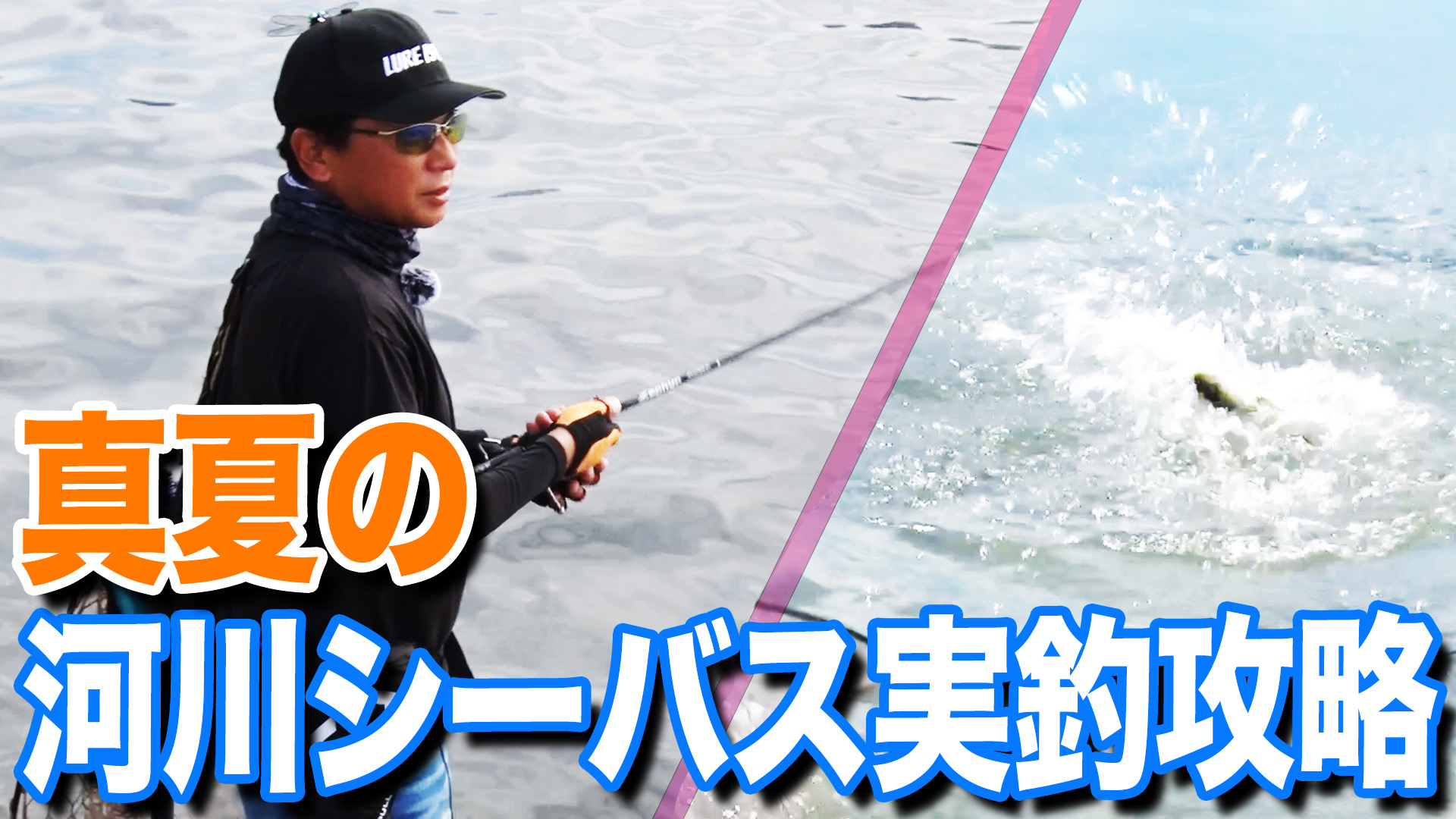 真夏の河川シーバス実釣攻略‼️