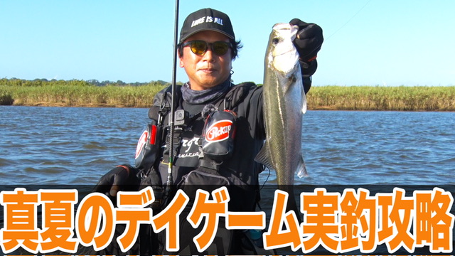 真夏のデイゲーム攻略の秘訣を公開❗️