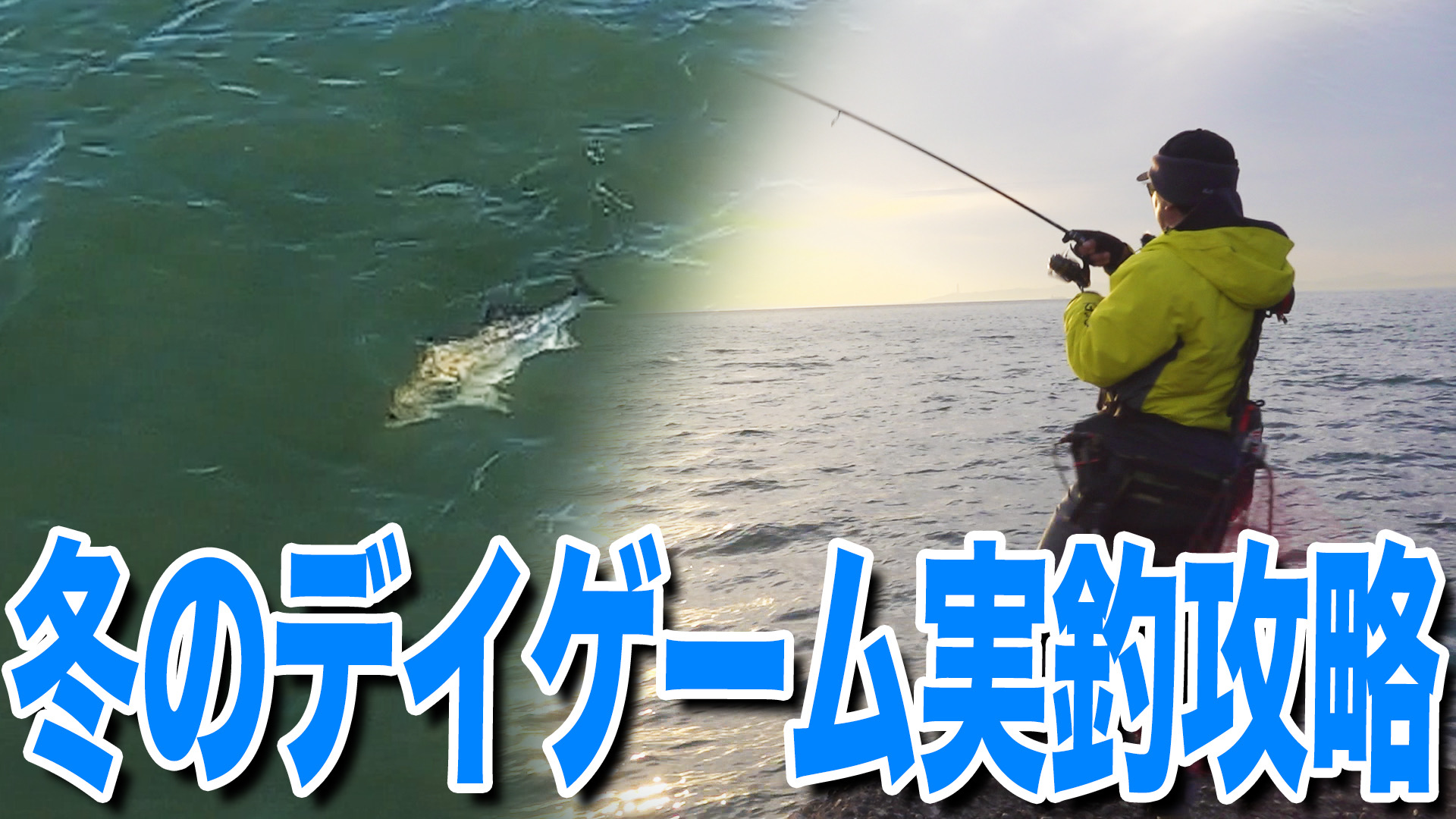 冬のデイゲーム実釣攻略‼️