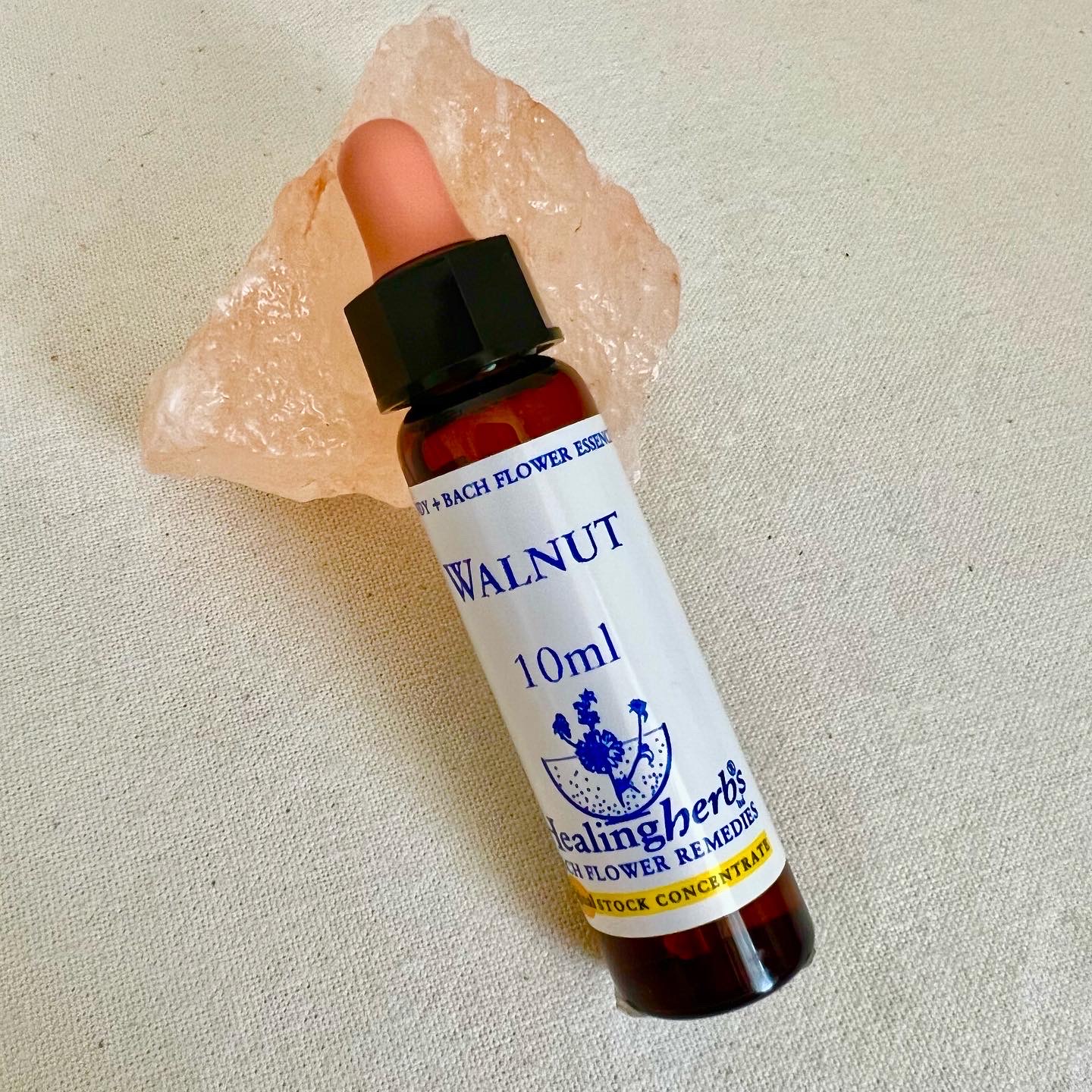 この季節におすすめのフラワーエッセンス