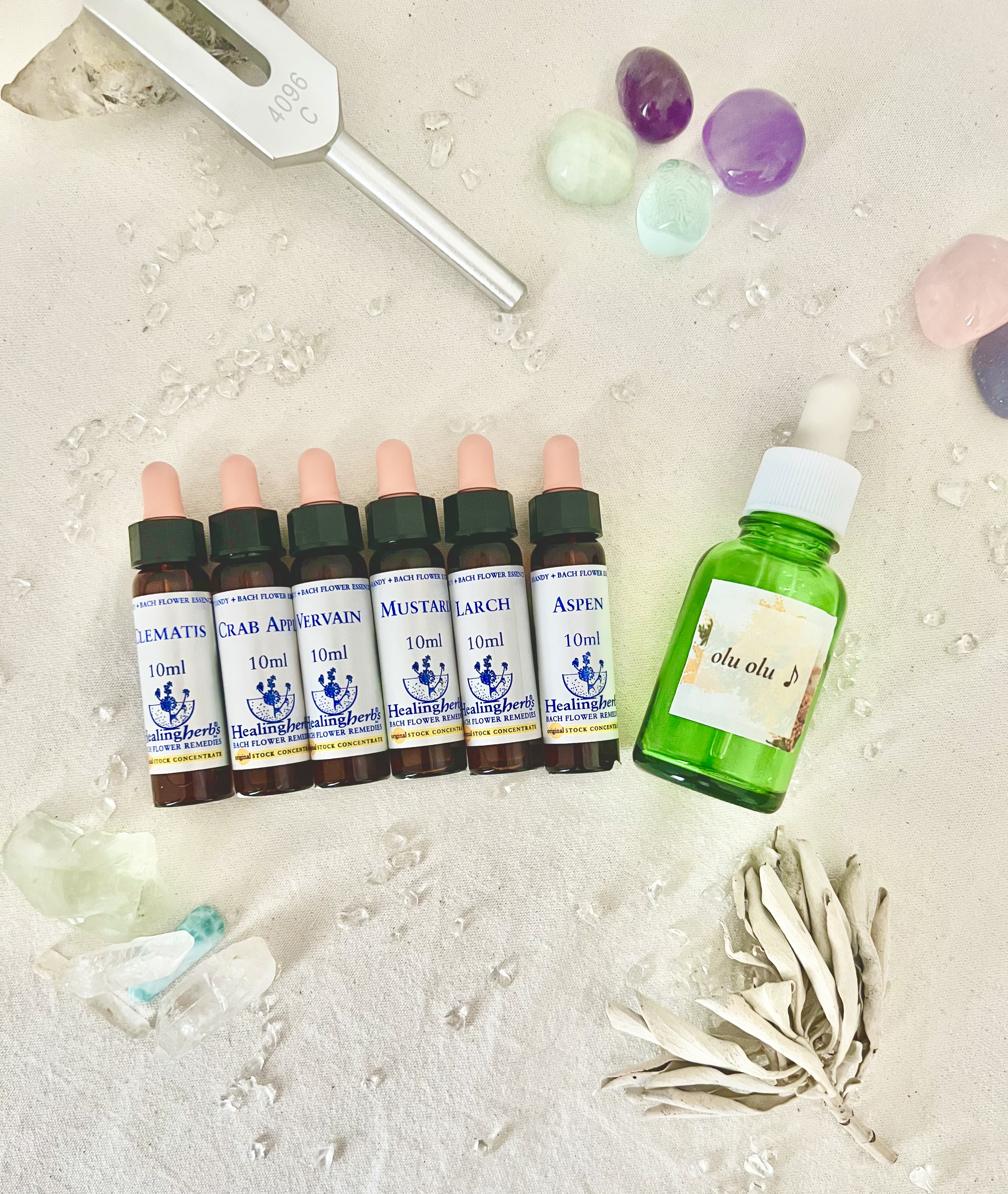 フラワーエッセンスセッションと星座の融合！