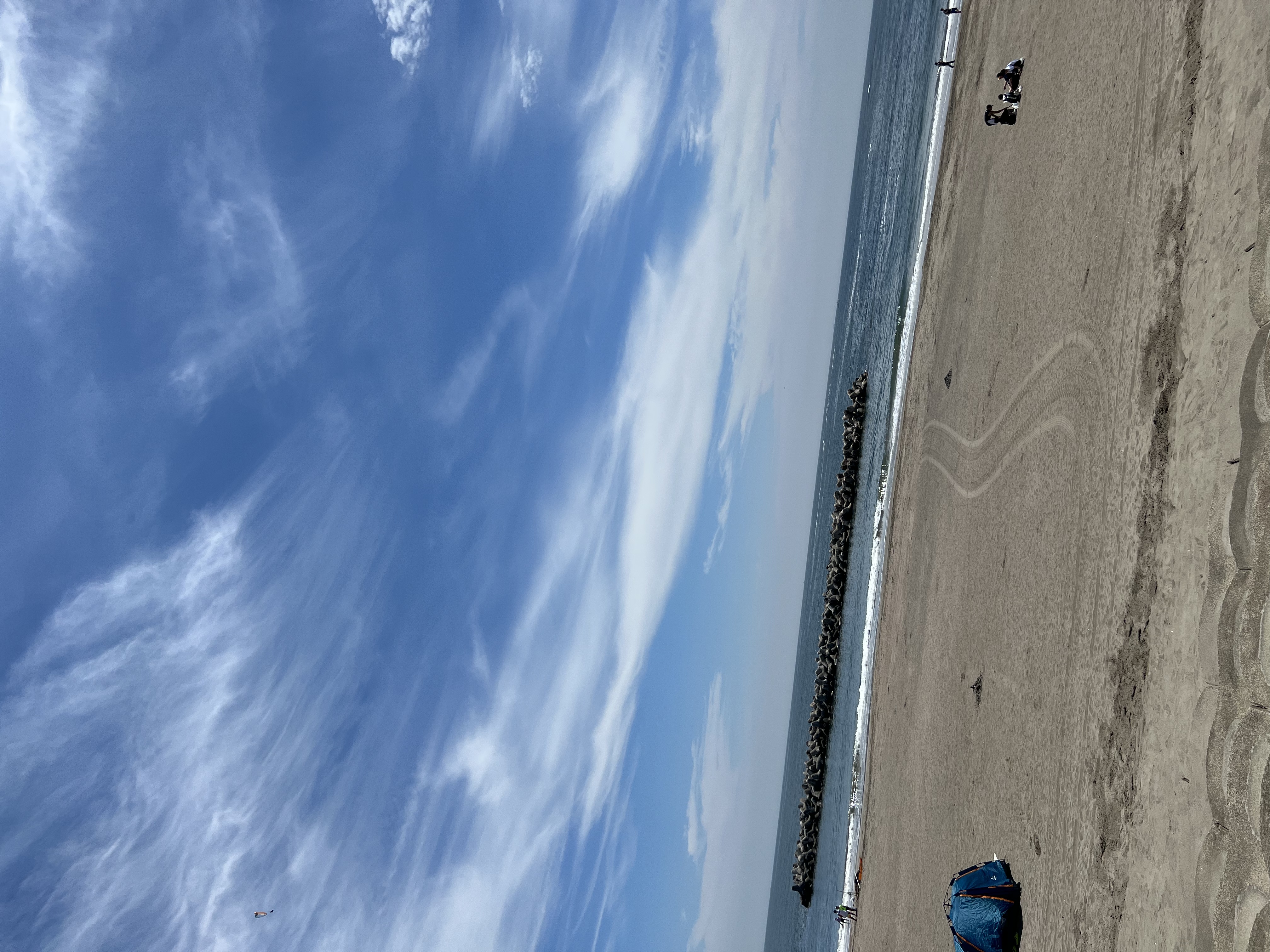 ビーチクリーン