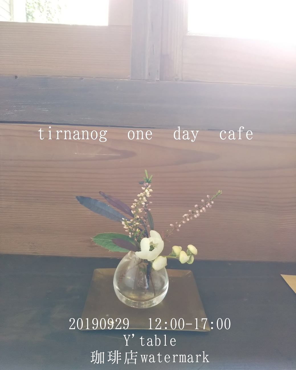 one day cafe 9/29