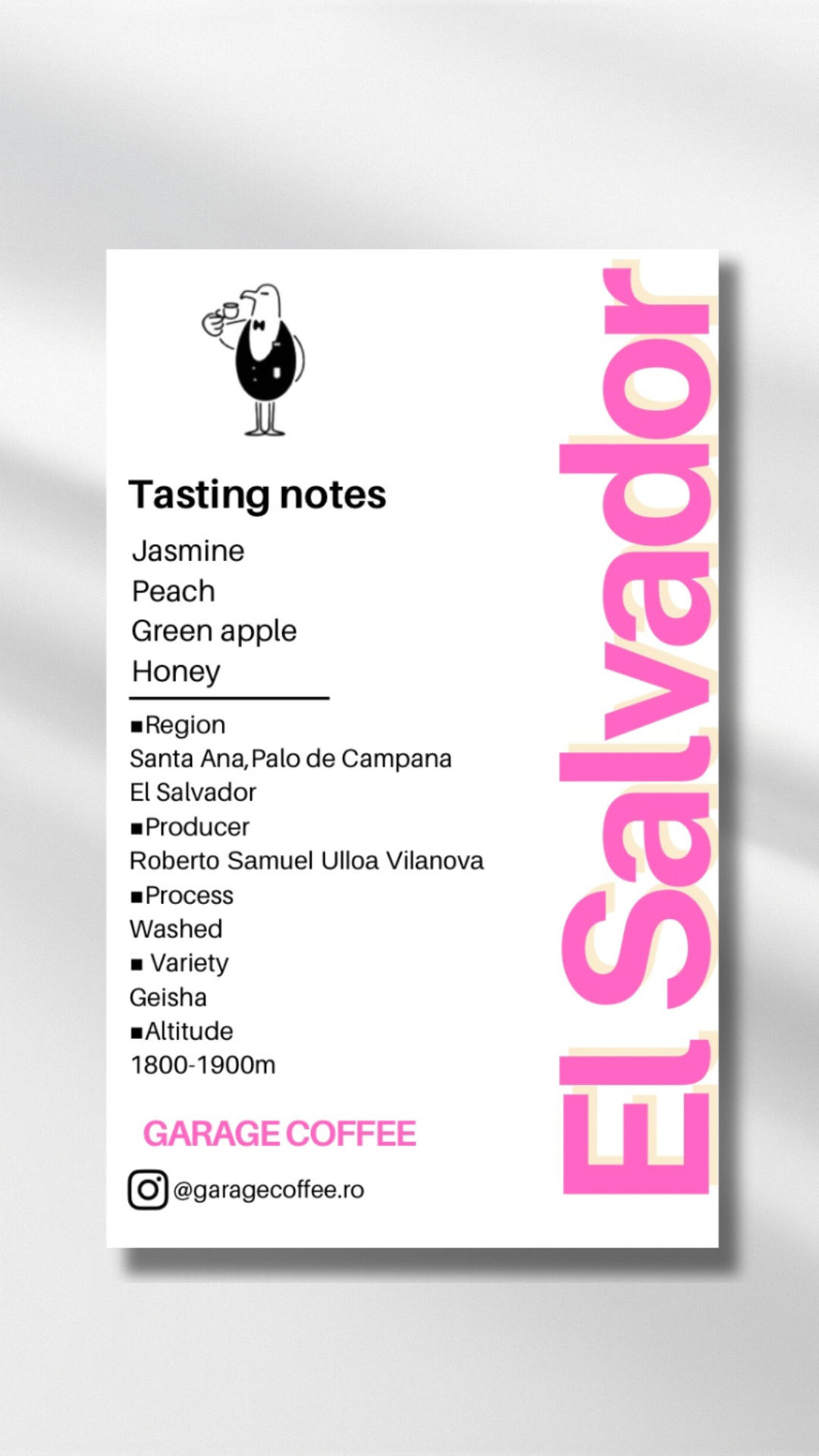 【豆紹介】エルサルバドル　ゲイシャ