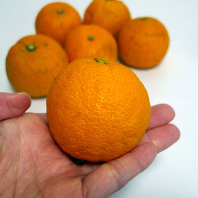 じゃばら