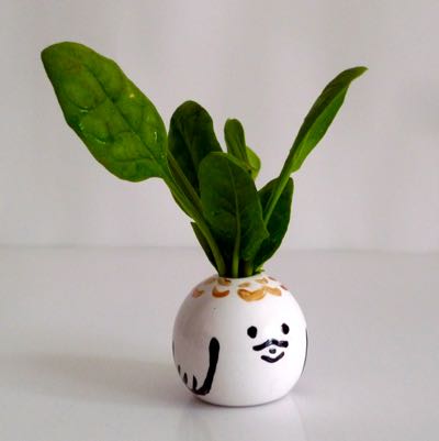 コネコバザール