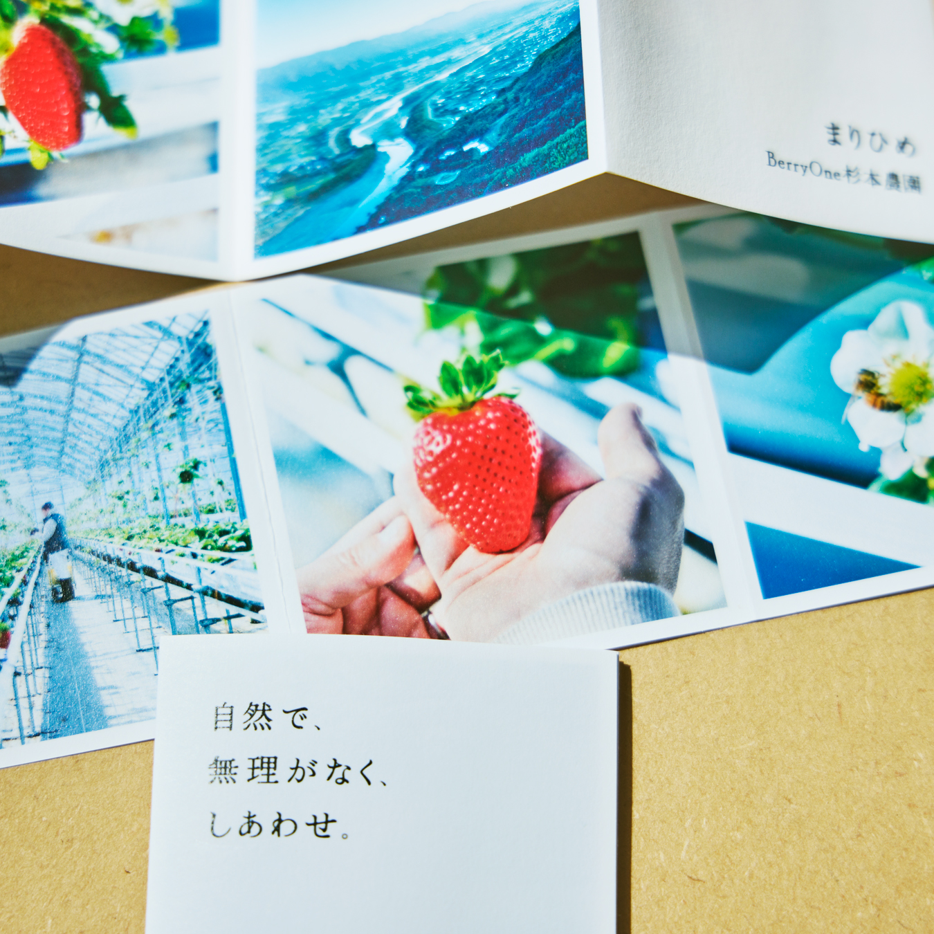 「BerryOne 杉本農園」まりひめ （コピーライティング）