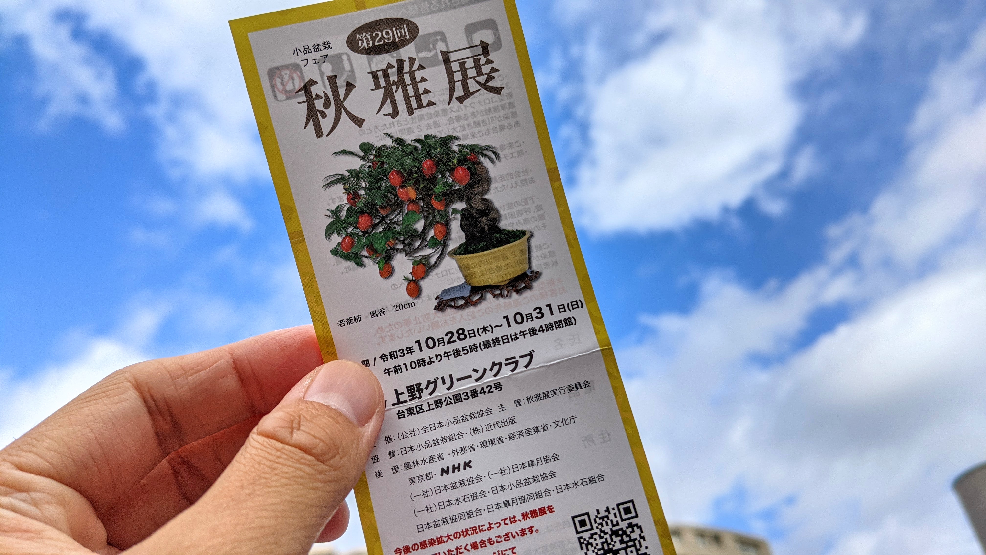 秋雅展の招待券いただきました