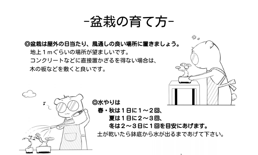初めてのワークショップ