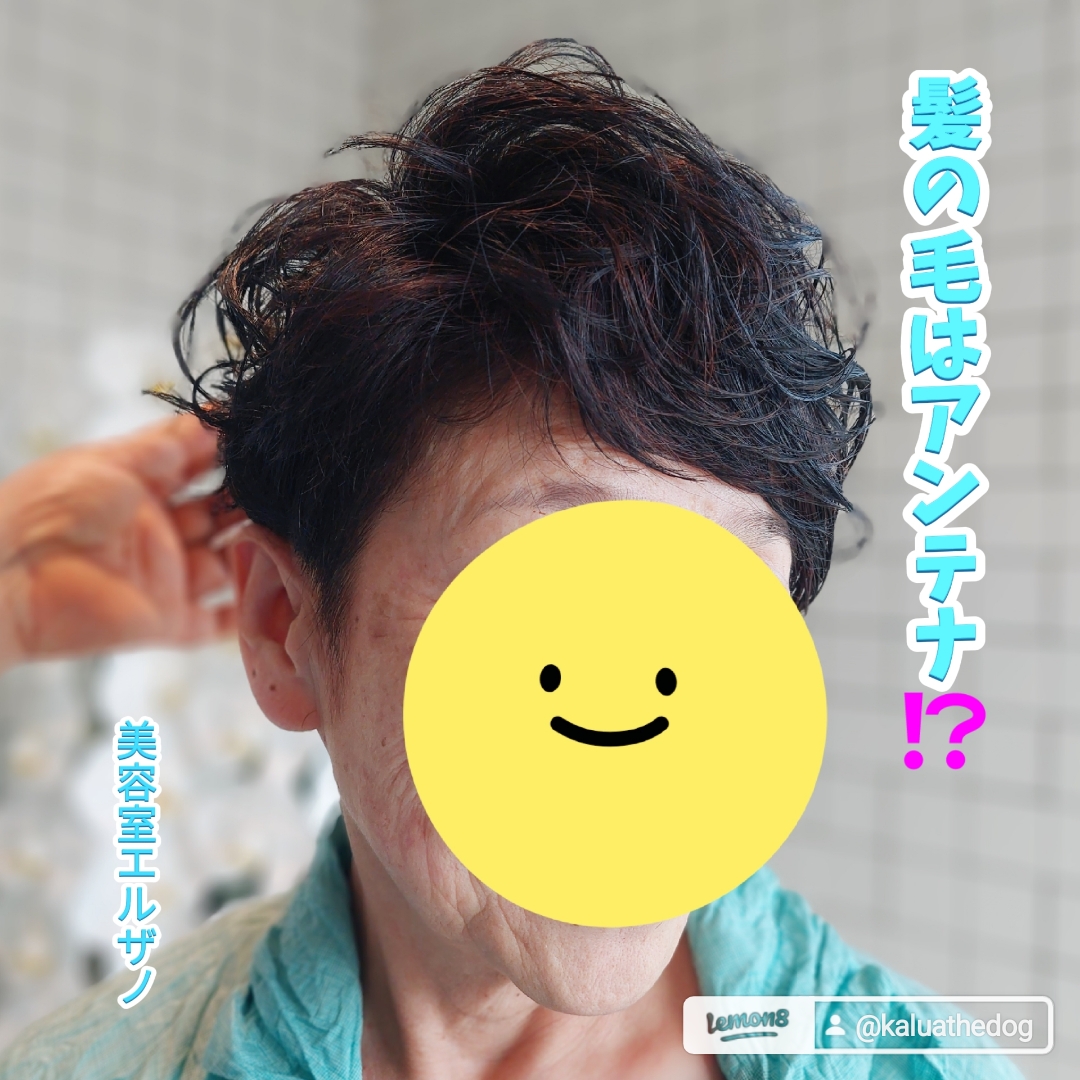 髪の毛は情報を送受信するアンテナ📡？！