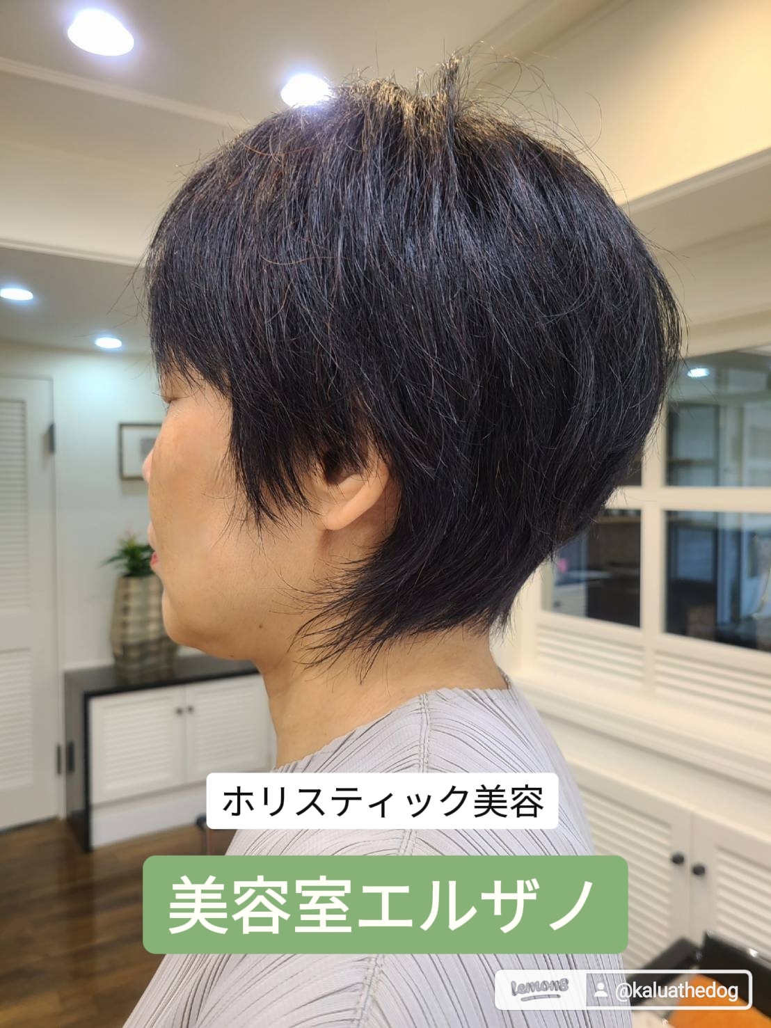 天然100%植物性の白髪染め✨