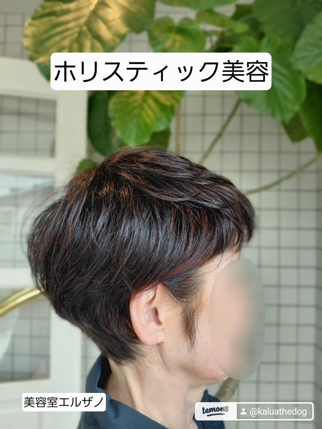 🔴人も自然の一部　髪と植物の関係🔴
