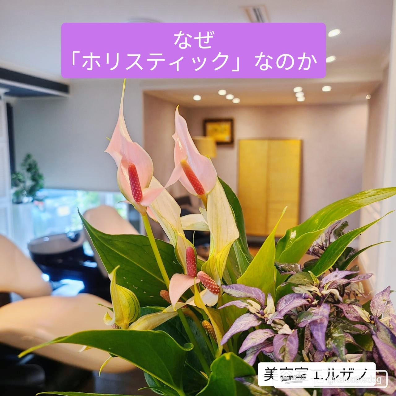 なぜ｢ホリスティック美容」なのか…