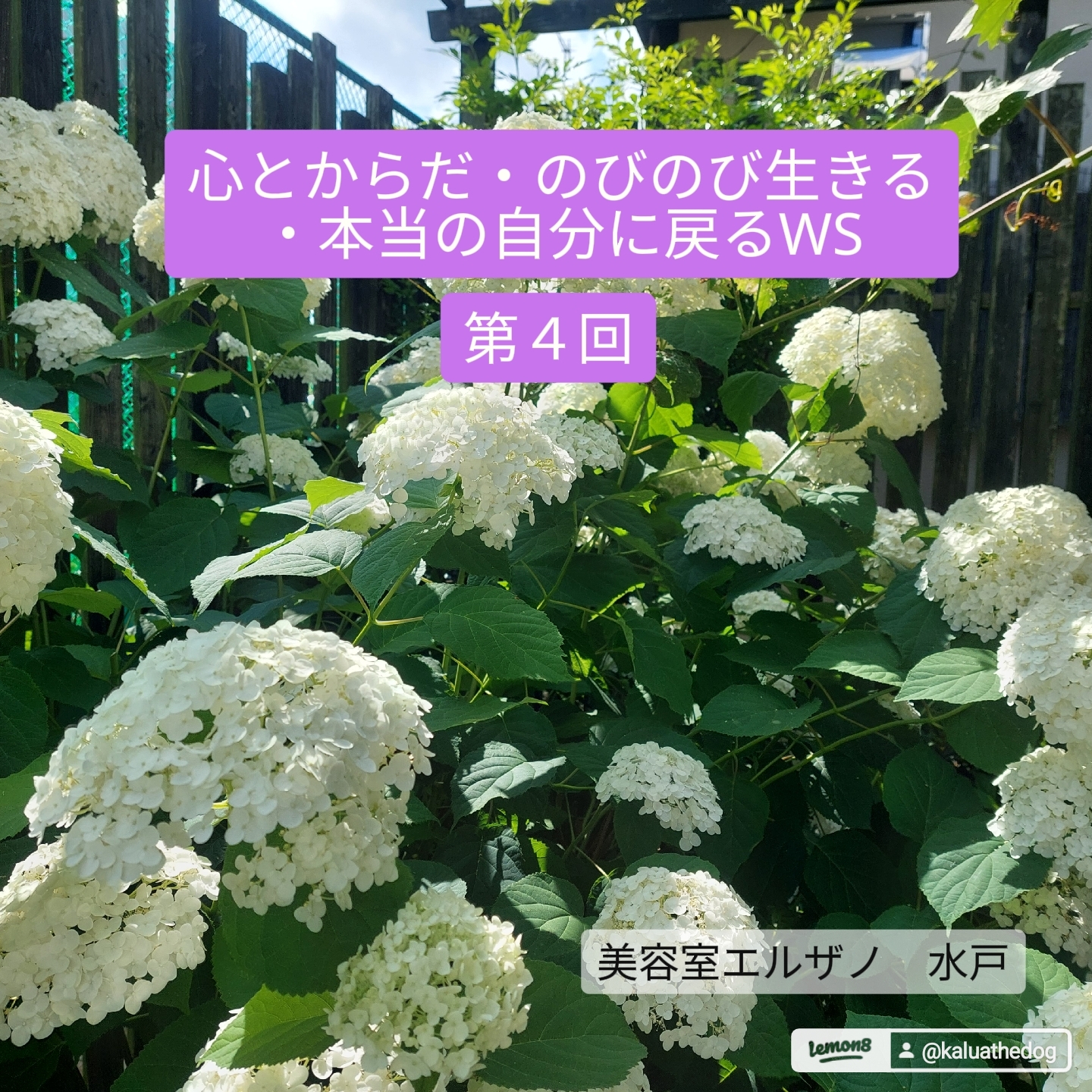 思い癖をリセットしよう🎵