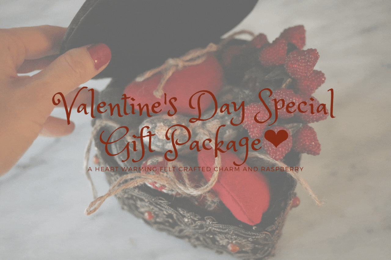 Valentine's Day Special Gift Package💝