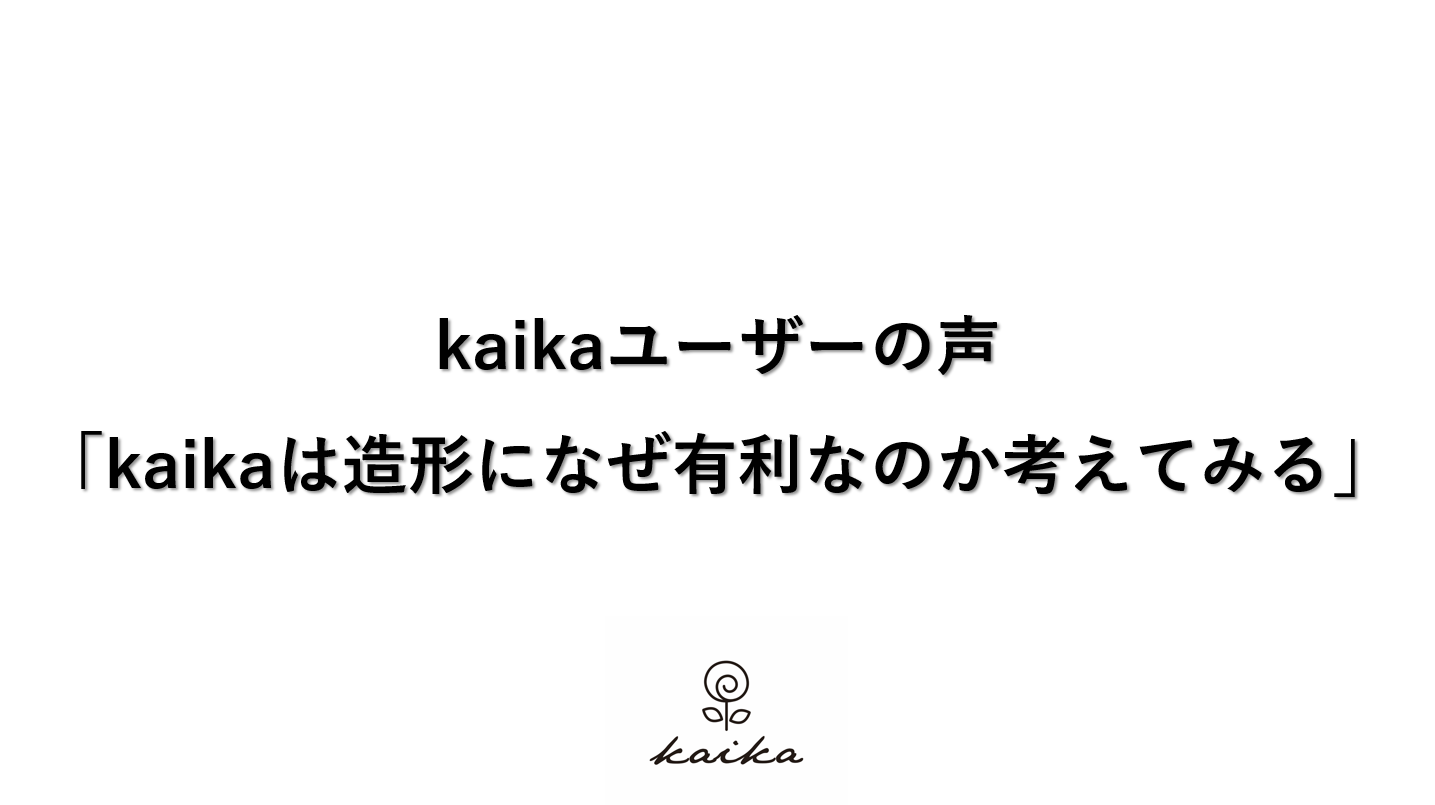 kaikaユーザーの声「kaikaノズルは造形になぜ有利か考えてみる」