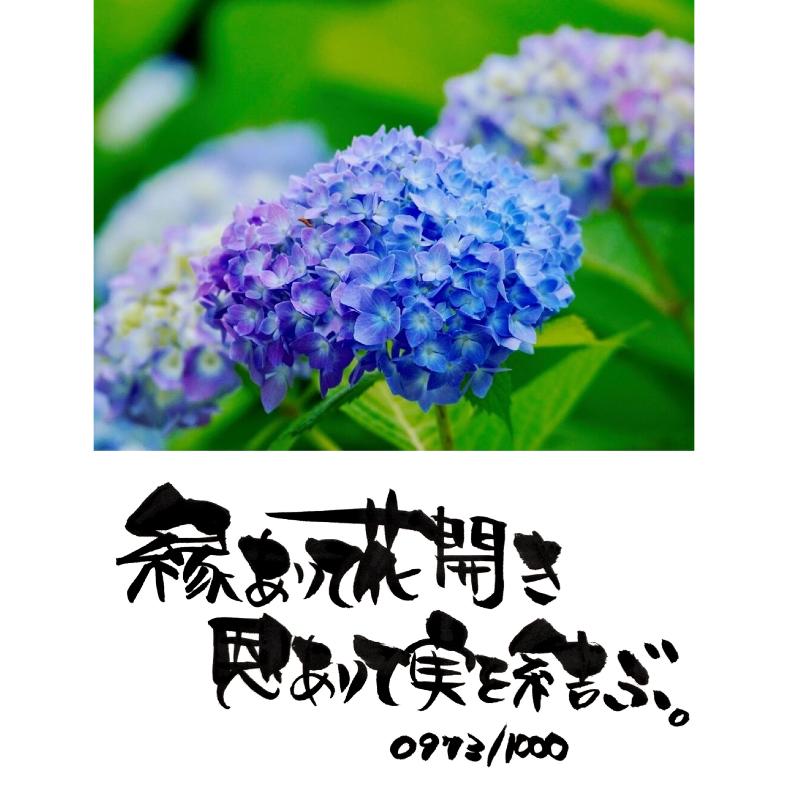 縁と恩