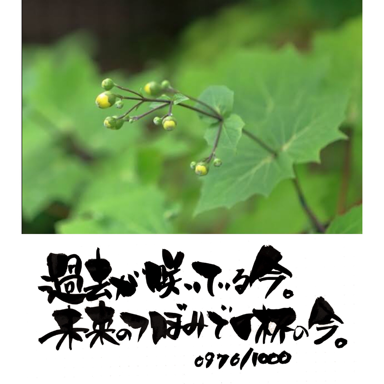 今