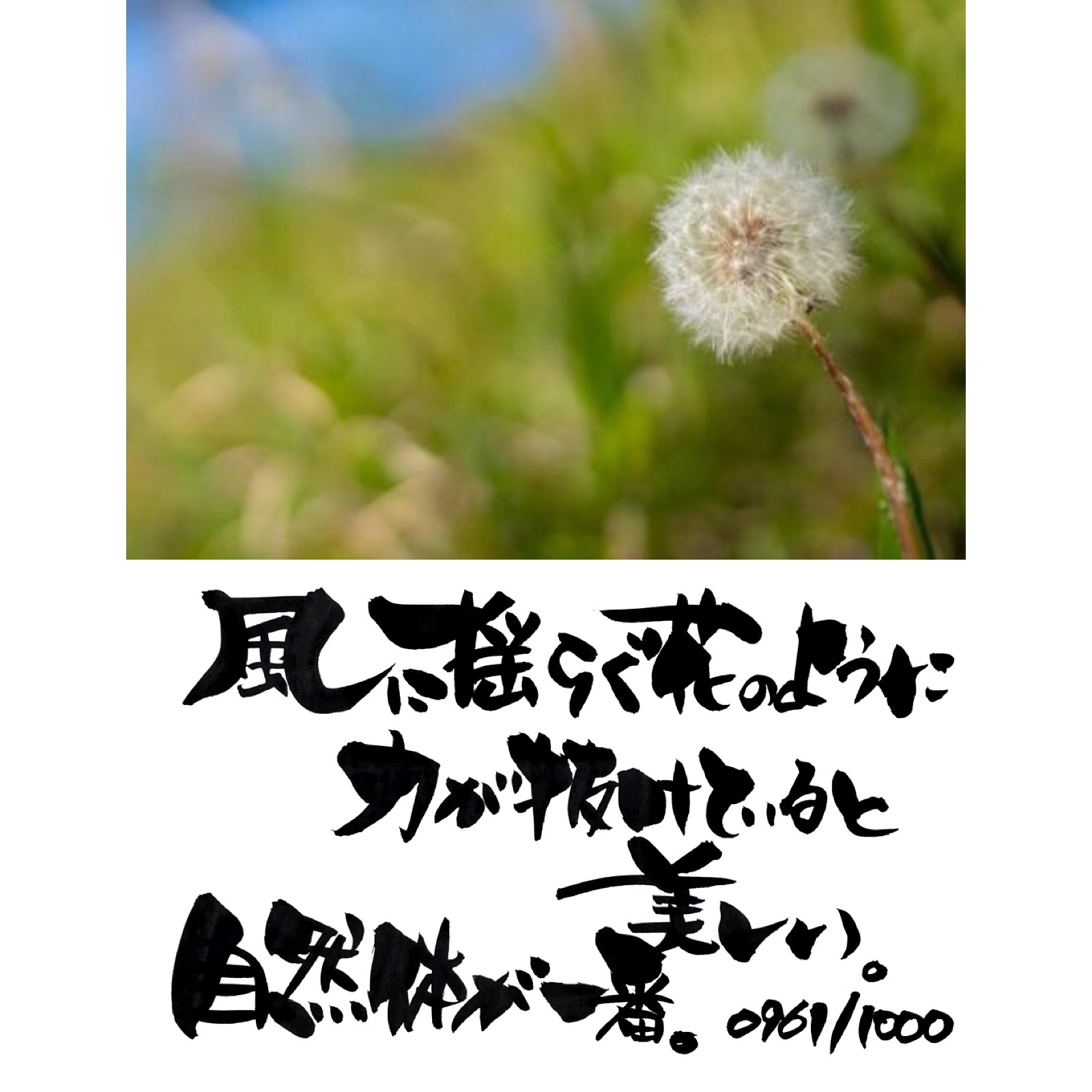 自然体