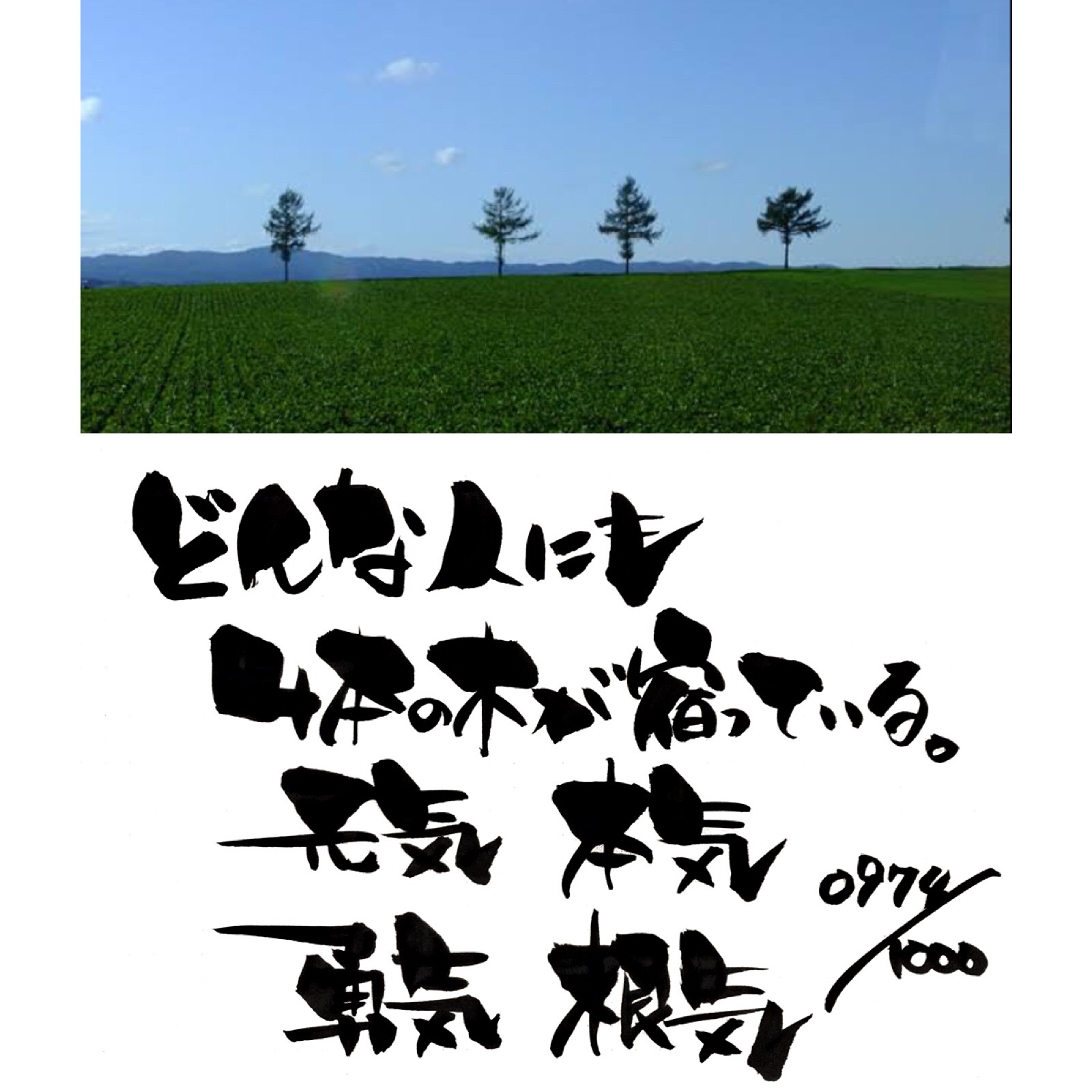 4本の木