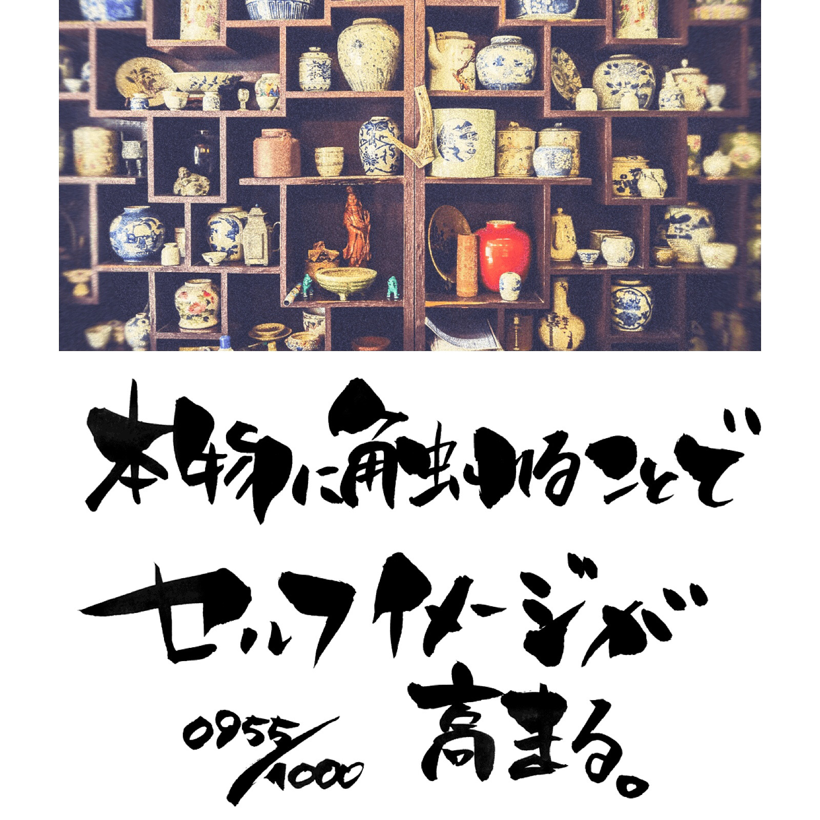 本物の育て方