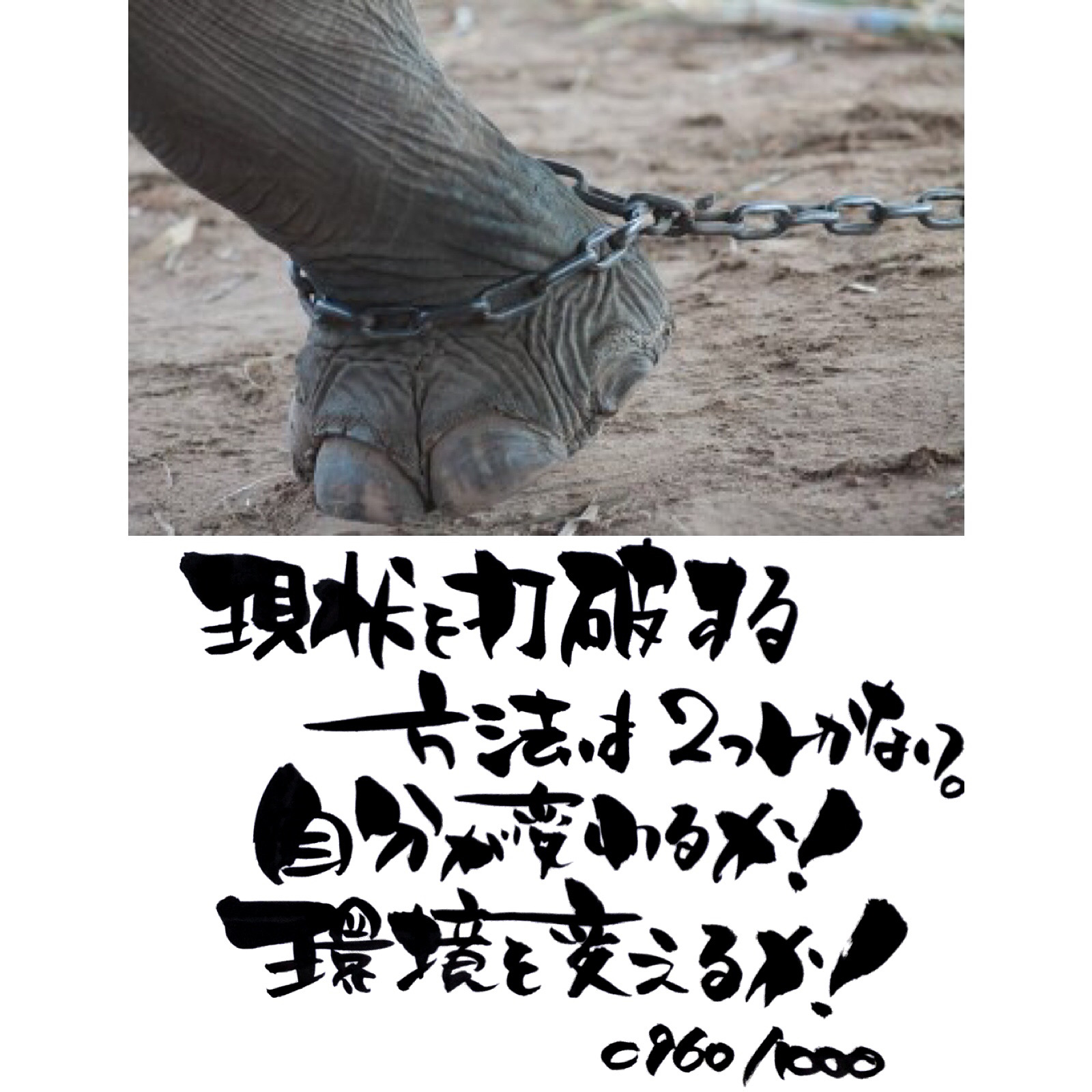 現状を打破する方法
