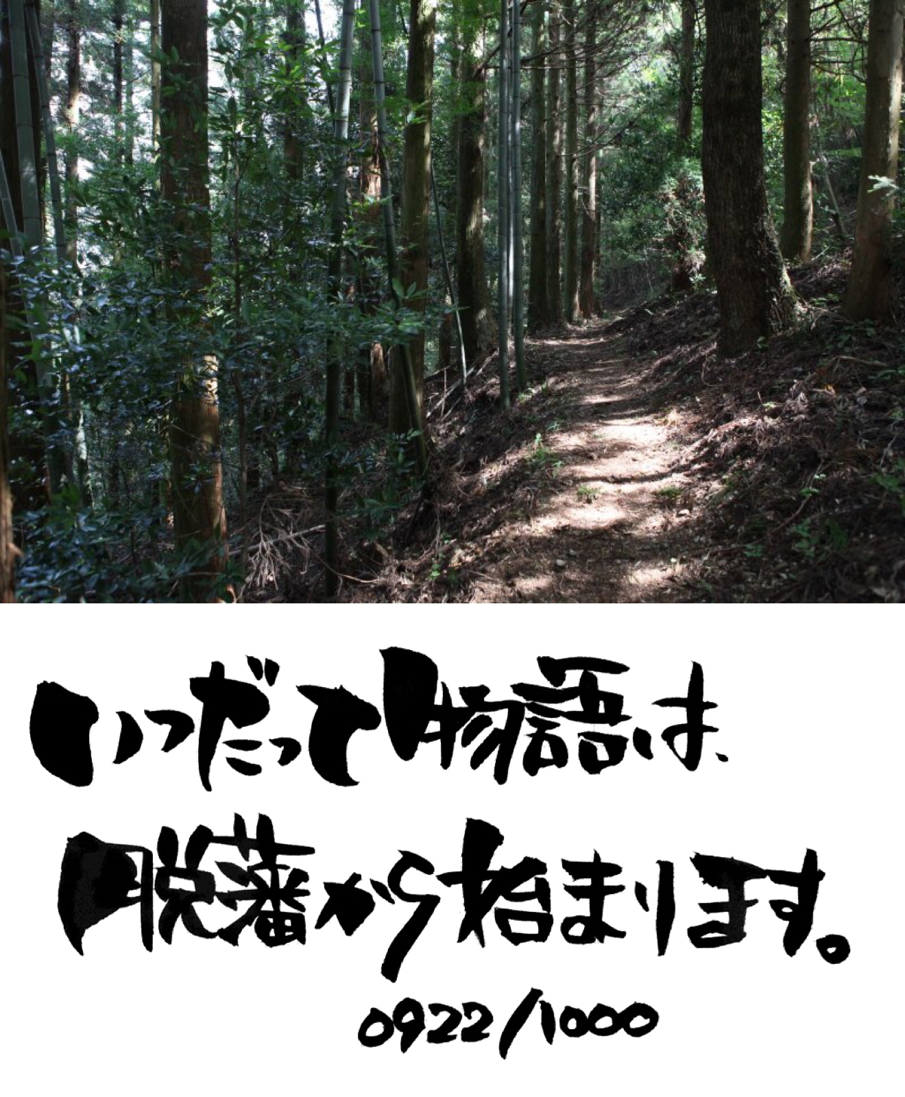 脱藩