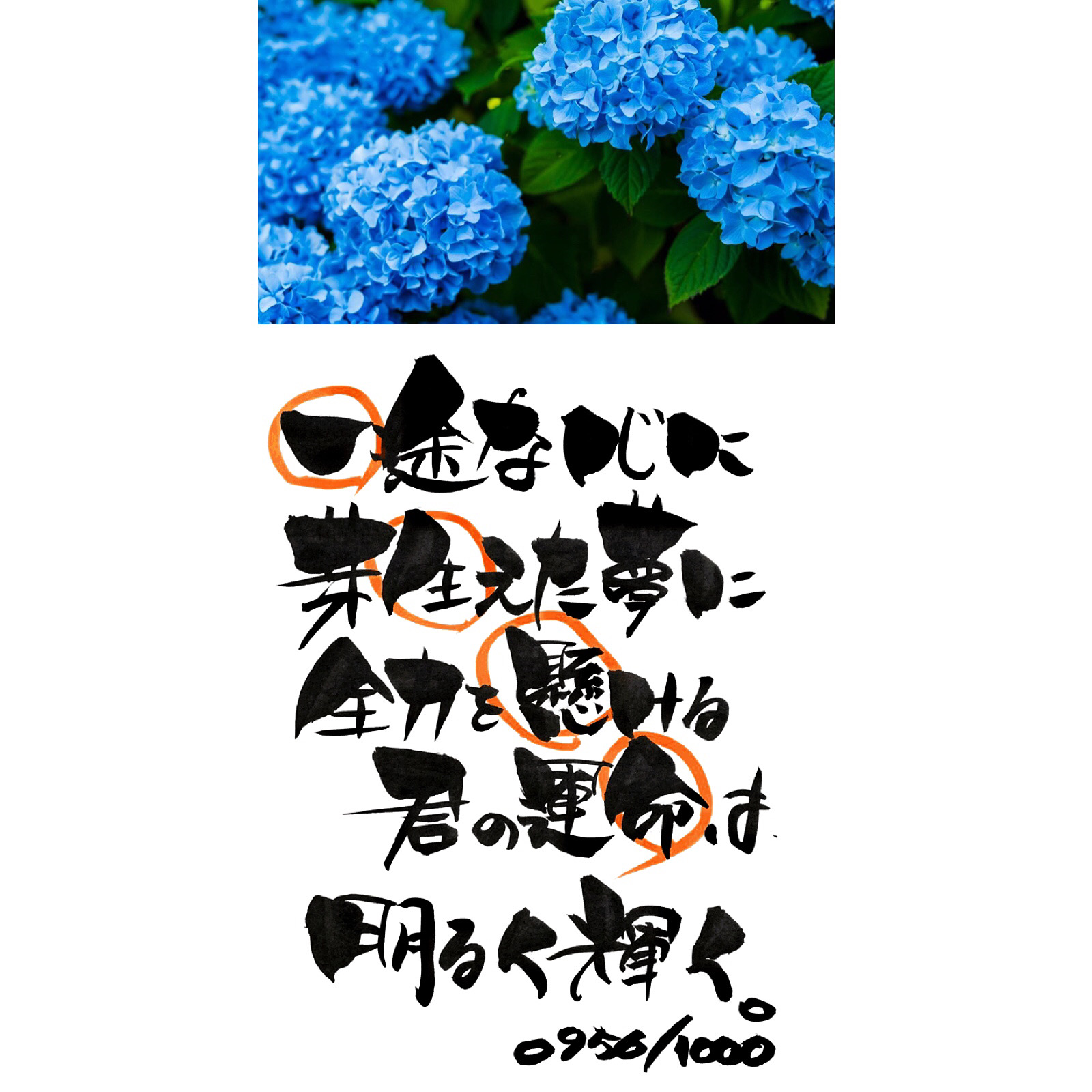 一生懸命