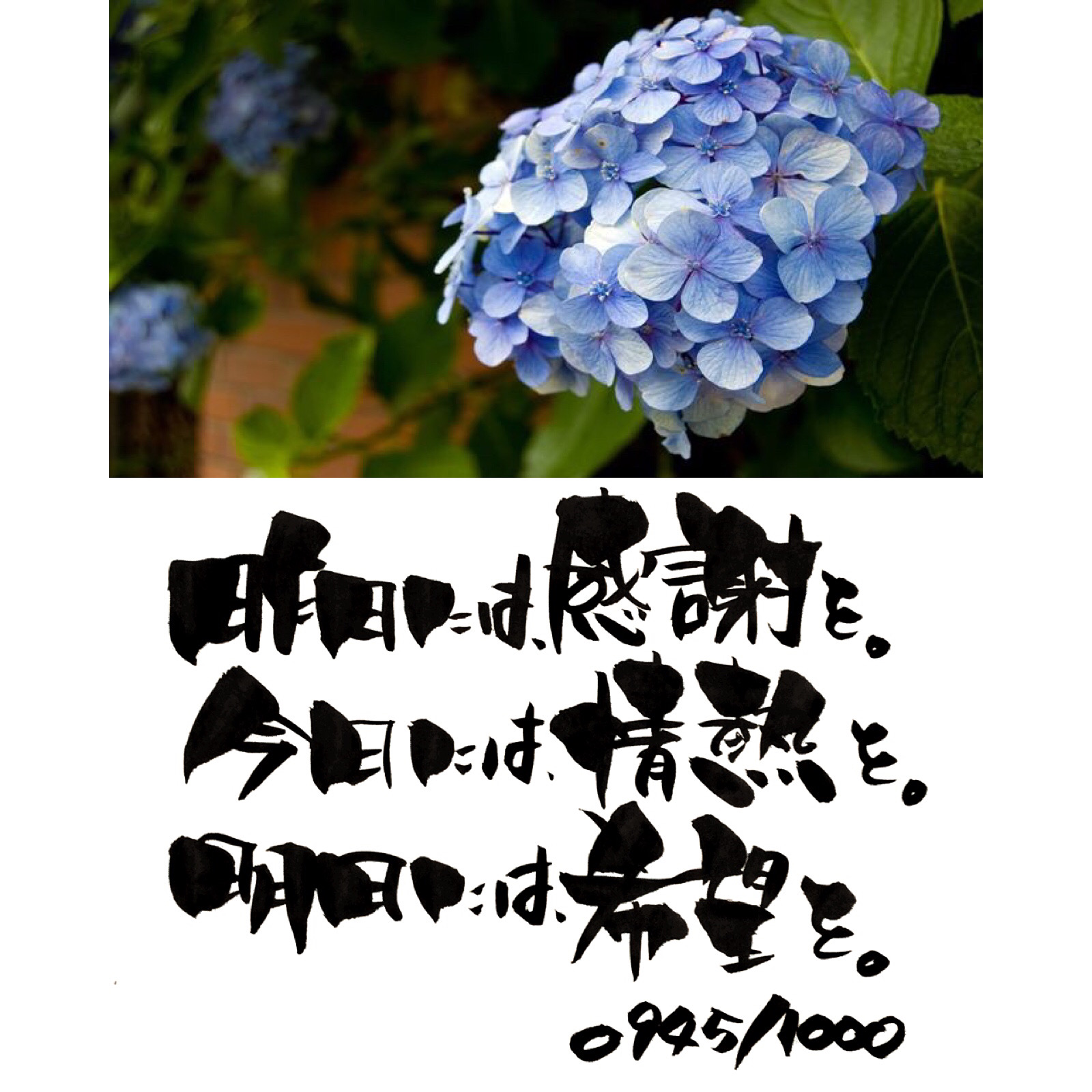 感謝・情熱・希望