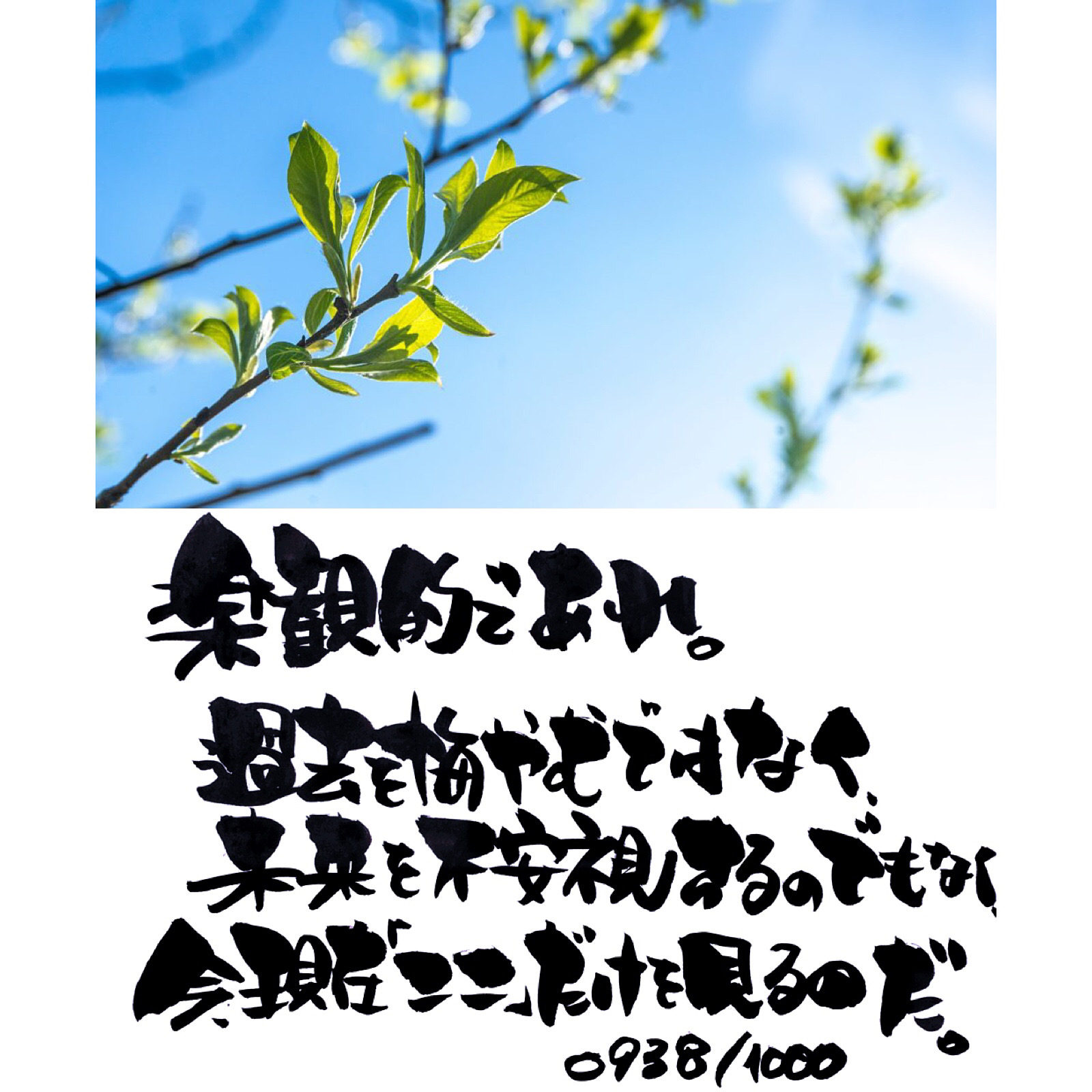 楽観的であれ。